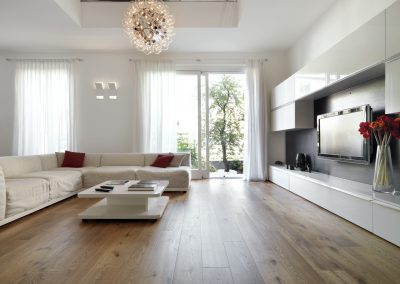 Modern living room with wood floor